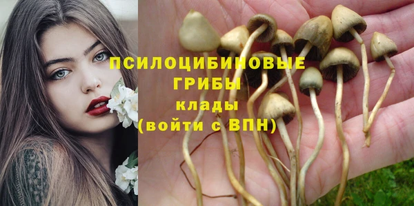 первитин Беломорск