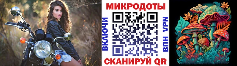 OMG вход  магазин продажи   Гороховец  Псилоцибиновые грибы MAGIC MUSHROOMS 