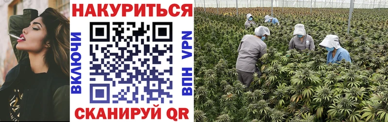 Каннабис семена  kraken ССЫЛКА  Гороховец 
